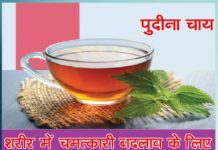 Mint tea: शरीर में चमत्कारी बदलाव के लिए रोजाना पीयें : पुदीना चाय pudine ki chai Sachi Shiksha