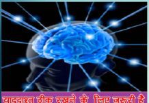 brain memory: याददाश्त ठीक रखने के लिए जरूरी है मस्तिष्क का अधिकाधिक इस्तेमाल More and more use of the brain is necessary to maintain memory