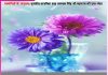Experiences of Satsangis: बेटा, यह गोली पानी के साथ ले ले, ठीक हो जाएगी… -सत्संगियों के अनुभव Experiences of Satsangis