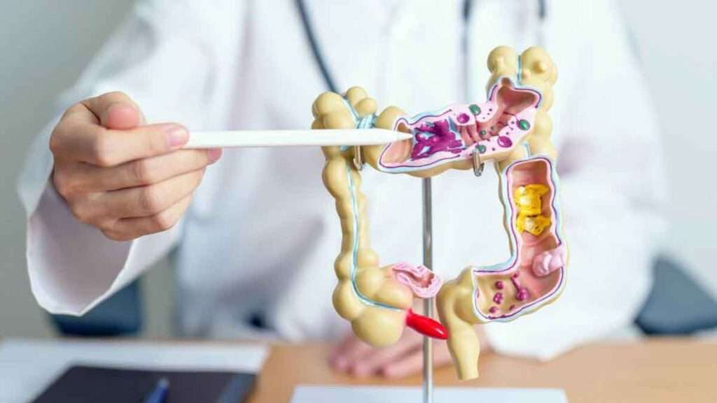 Hydrocolon Therapy: हाइड्रोकोलोन थेरेपी: नैचुरल तरीके से शरीर सफाई की प्रभावी विधि 1 Hydrocolon Therapy