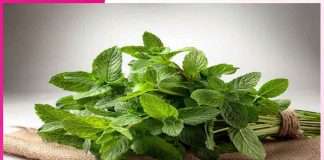 Mint: गर्मी के रोगों की रामबाण दवा ‘पुदीना’ Mint
