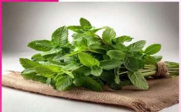 Mint: गर्मी के रोगों की रामबाण दवा ‘पुदीना’ Mint