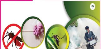 mosquitoes: मच्छरों से छुटकारा दिलाएंगे घरेलू उपाय mosquitoes