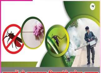 mosquitoes: मच्छरों से छुटकारा दिलाएंगे घरेलू उपाय mosquitoes