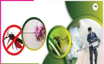 mosquitoes: मच्छरों से छुटकारा दिलाएंगे घरेलू उपाय mosquitoes