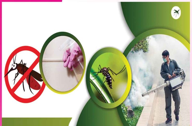 mosquitoes: मच्छरों से छुटकारा दिलाएंगे घरेलू उपाय mosquitoes