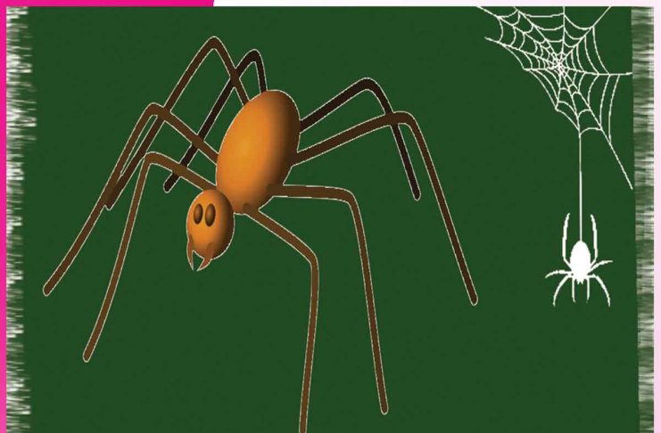spider: मकड़ी होगी घर से बाहर spider