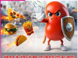 Junk food: जंकफूड के सेवन से बढ़ रहा किडनी रोग का खतरा Junk food