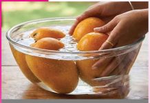 Mango: आम खाने से पहले पानी में रखें Mango