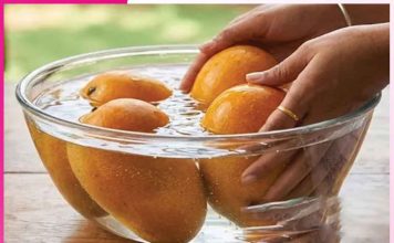 Mango: आम खाने से पहले पानी में रखें Mango