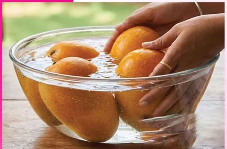 Mango: आम खाने से पहले पानी में रखें Mango