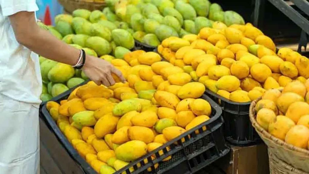 Mango: आम खाने से पहले पानी में रखें 1 mengo