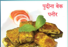 pudina paneer recipe Sachi Shiksha Hindi