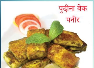 pudina paneer recipe Sachi Shiksha Hindi
