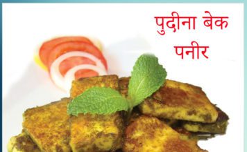 pudina paneer recipe Sachi Shiksha Hindi