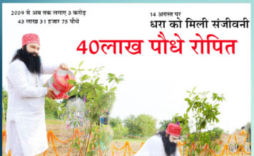 4 million saplings planted, on 14 August Sachi Shiksha