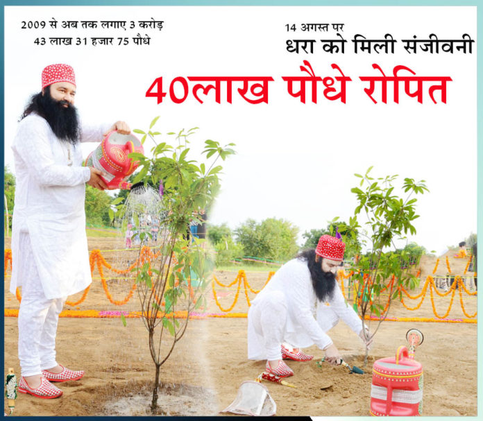 4 million saplings planted, on 14 August Sachi Shiksha