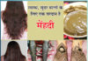 Henna is a boon for healthy, beautiful hair Sachi Shiksha Hindi