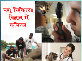 career veterinary science