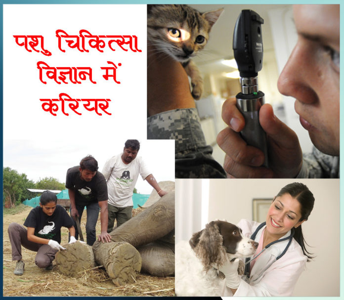 career veterinary science