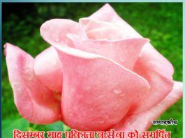 दिसम्बर माह पवित्रता व सेवा को समर्पित The month of December is dedicated to purity and service - Sachi Shiksha