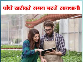 पौधे खरीदते समय बरतें सावधानी