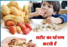 शरीर का पोषण करती है, मूंगफली शरीर का पोषण करती है मूंगफली