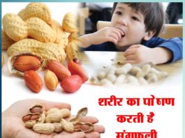 शरीर का पोषण करती है मूंगफली