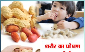 शरीर का पोषण करती है मूंगफली