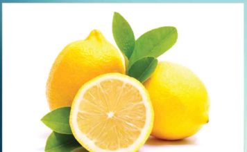 हर मौसम का साथी - नींबू