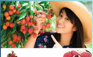 फलों की रानी ‘लीची’