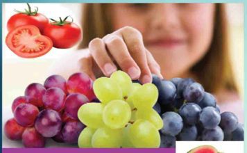 your anti aging plate