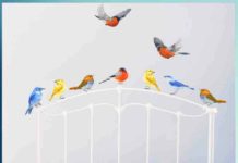 बगिया के पंछी birds birds