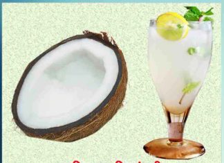 how to make Coconut Shikanji in hindi