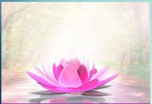 स्वाध्याय और सत्संग | Self Study and Satsang Self Study and Satsang Sachi Shiksha Hindi