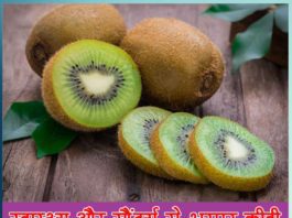 Benefits of Kiwi Fruit in Hindi Sachi Shiksha