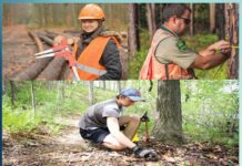 फॉरेस्ट्री में करियर की अपार संभावनाएं | Immense possibilities of career in forestry फॉरेस्ट्री में करियर की अपार संभावनाएं