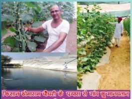 किसान खेमाराम चौधरी के प्रयास से गांव कुमानवतान बना मिनी इजरायल