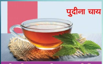 pudine ki chai Sachi Shiksha