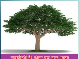 neem ke upyog - sachi shiksha