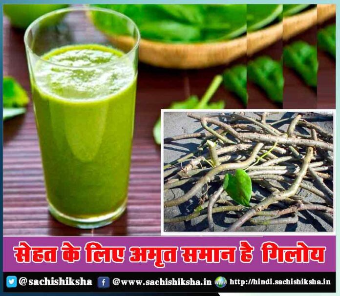 giloy juice ke fayde - Sachi Shiksha