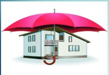 protect your house from dampness and fungus - Sachi Shiksha