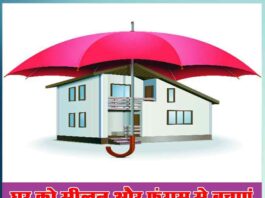 protect your house from dampness and fungus - Sachi Shiksha