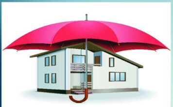 protect your house from dampness and fungus - Sachi Shiksha
