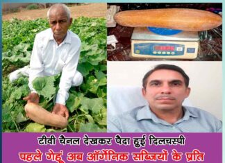 Dharampal Khoth generated interest on organic farming by watching tv channel- Sachi Shikhsa