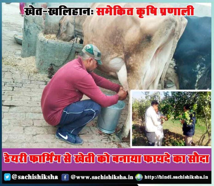 Success Story of Dairy farmingSuccess Story of Dairy farming in Hindi - Sachi Shiksha