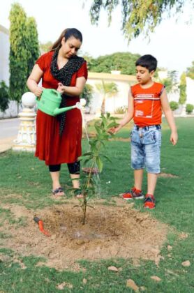 planting trees on a holy avatar day 01 Dera Sacha Sauda - Sachi Shiksha