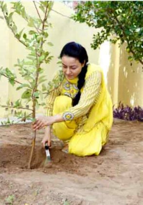 planting trees on a holy avatar day 02 Dera Sacha Sauda - Sachi Shiksha