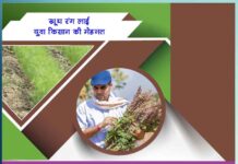 young farmer yogesh success story and life journey - Sachi Shiksha