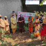 Ambala-(1)